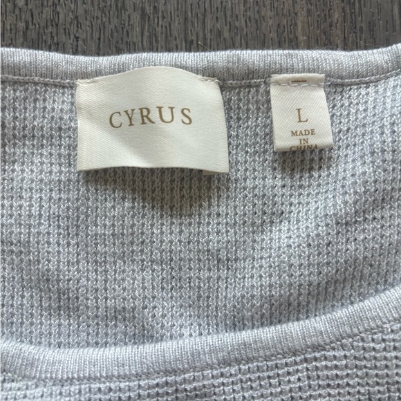 Cyrus Light Gray Short Sleeve Top - Picture 2 of 5